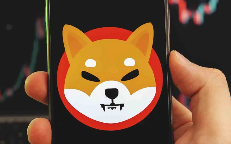 Whale Acquires 3.7 Trillion Shiba Inu Tokens As SHIB Shows 11% Weekly Rise