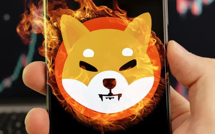 463.3 Million SHIB Burned, But SHIB Price Still Goes Down