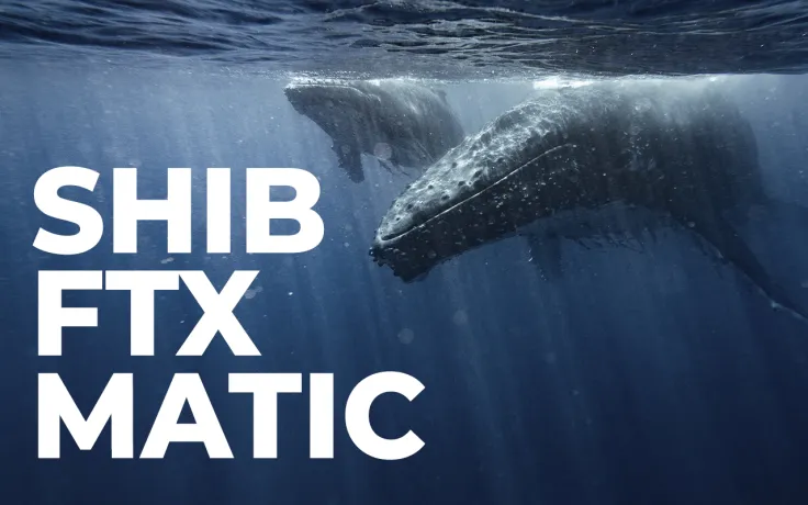 SHIB, FTX, MATIC on List of Assets Whales Are After: Report