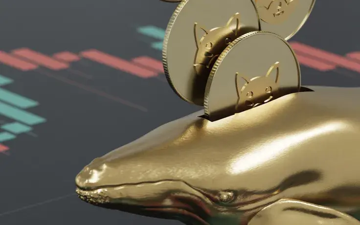 8.5 Billion SHIB Shoveled by Whales: Etherscan Data