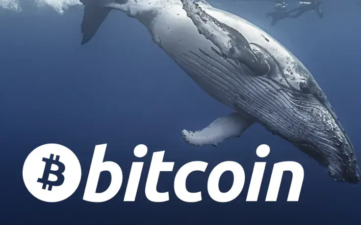 6,800 Bitcoins Shifted to Cold Storage from Coinbase As Price Drops Below $40,000