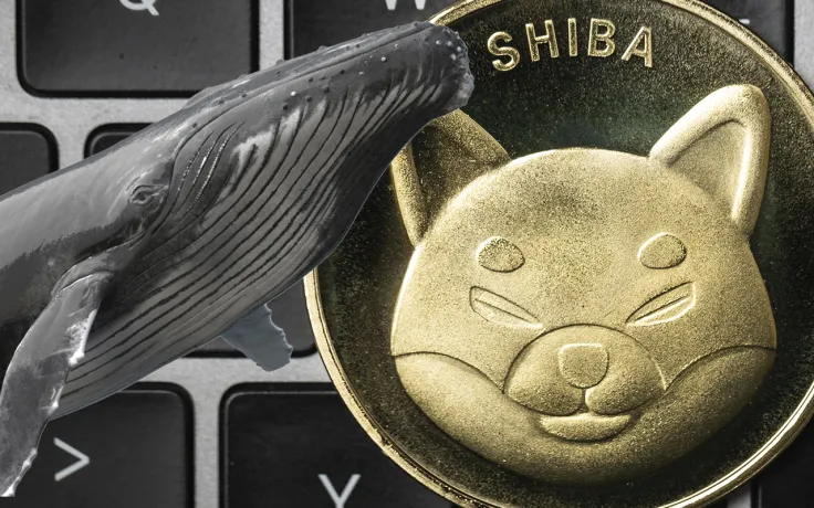 As Shiba Inu Rallies by 20%, Whale Purchases 775 Billion Tokens