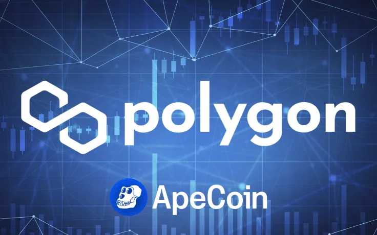 Polygon Now Supports ApeCoin with access to 19,000 dApps