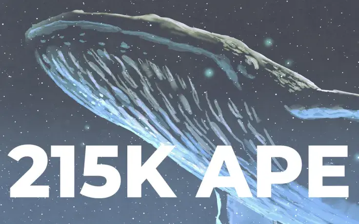 Whale Grabs 215,000 APE as It Becomes Most-Traded Token: Report