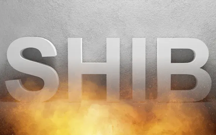 Record 25 Billion SHIB Burned by This New Burner in 2 Weeks: Details