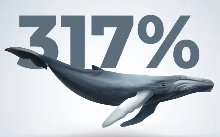 Trading Volumes Spike Above 317% as Shiba Inu Whales Increase Activity