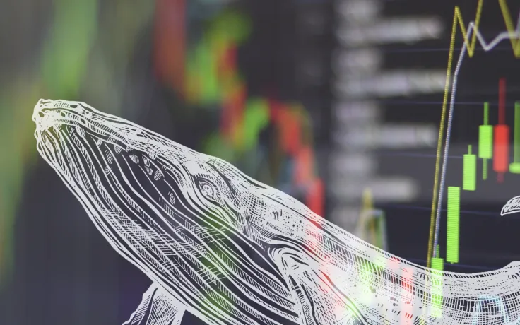 30.8 Million ADA Presently Sit in Whales' Portfolios, ADA Sheds 12%