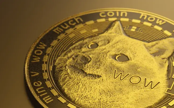 Dogecoin Returns as Most Popular Smart Contract Among Whales Despite 8% Price Decline