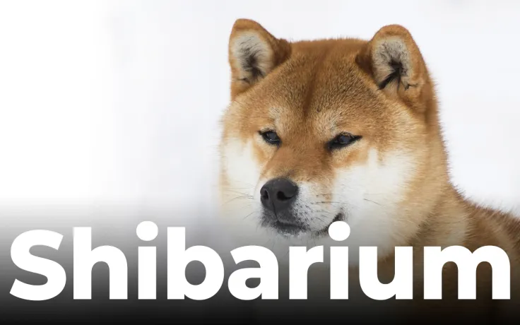 Shiba Inu Stablecoin SHI Nears Completion, SHIB Introduces Shibarium Financial Ecosystem