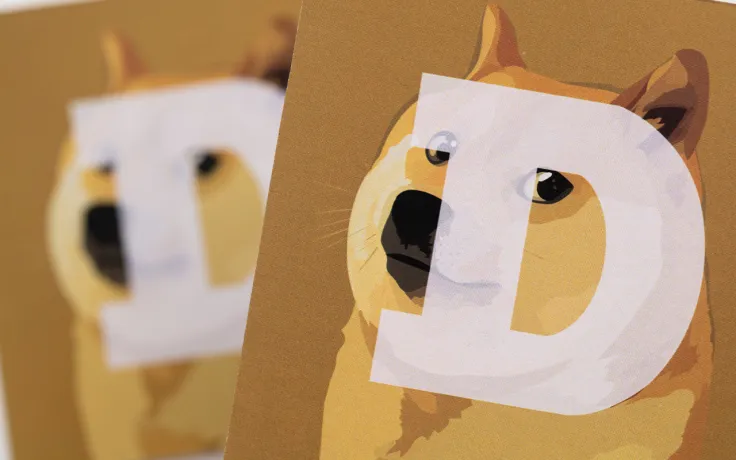 DOGE Returns As Top Purchased Coin by BNB Whales