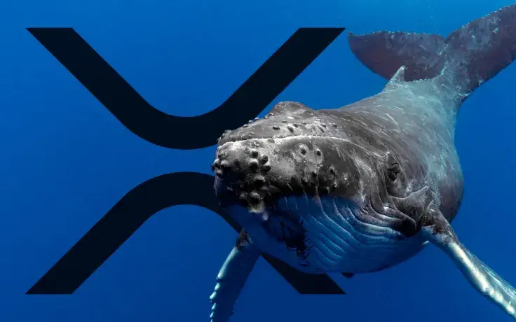 XRP Whales Massively Accumulating, Supply Held Reaches Two-Month High