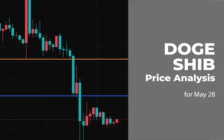 DOGE and SHIB Price Analysis for May 28