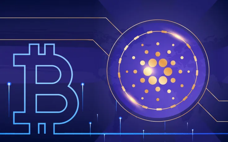 Cardano Has Potential to Become Scarce Asset Like Bitcoin: Community