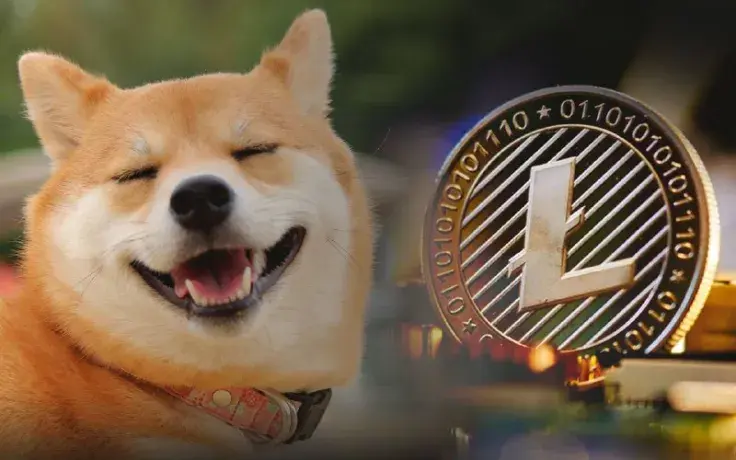 Shiba Inu Major Developer Trolls LTC, Litecoin Responds