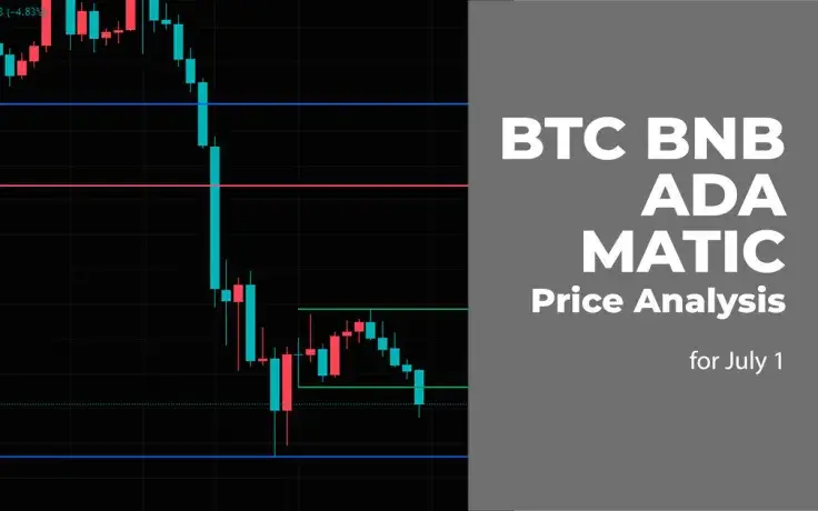 BTC, BNB, ADA and MATIC Price Analysis for July 1