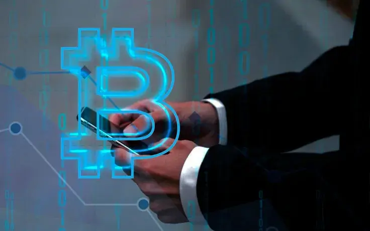 Small Bitcoin Investors Actively Accumulate Cryptocurrency