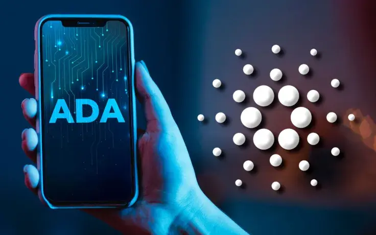 79.1 Million ADA Bought by These Investors, While Bigger Whales Stop Dumping Cardano