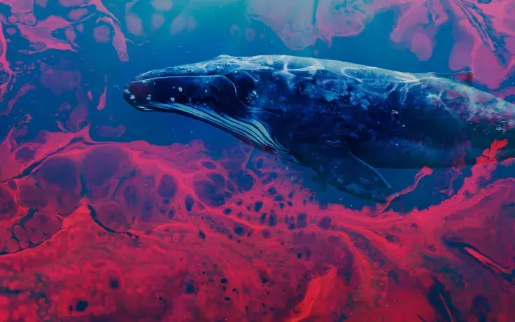 Institutional Whales Are Waiting to "Buy the Blood," Messari Report