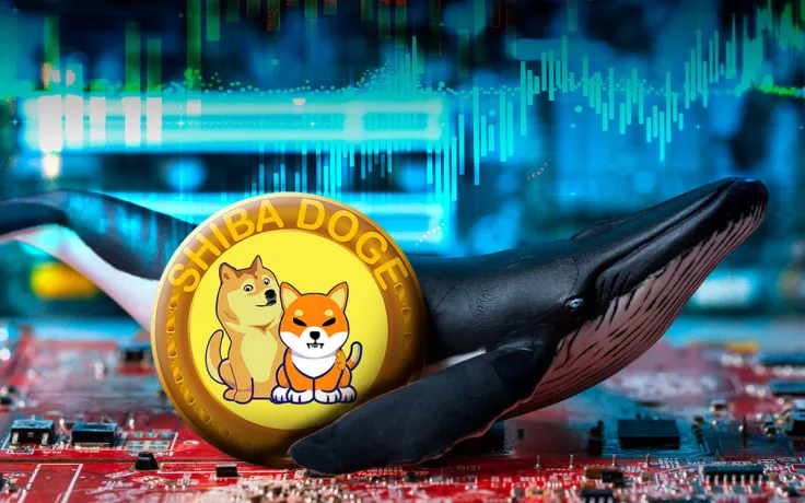 Not DOGE or SHIB, But ShibDoge Is Most Held Coin Among ETH Whales