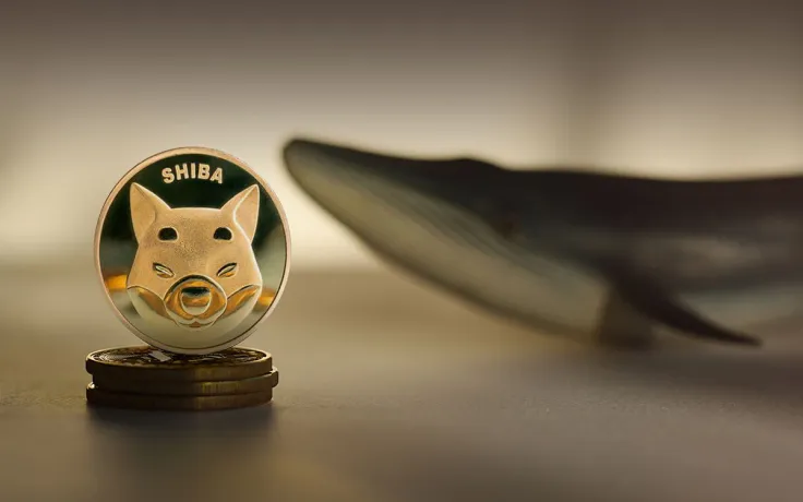 Shiba Inu Large Transactions Rise as Whales' Balances Grow 20%