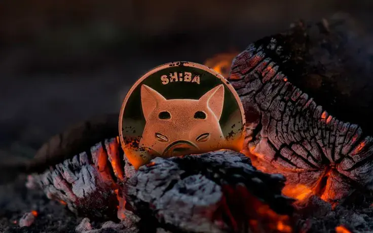 140 Million Shiba Inu Burned as Burn Rate Spikes 137%: Report