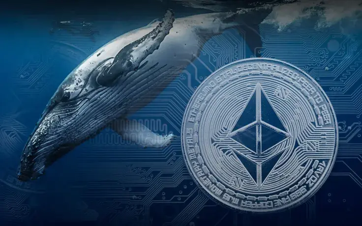 Ethereum Network Saw Influx of 131 Whales as Price Recovers