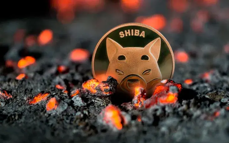 Shiba Inu's Burn Rate Rises 785% as 573 Million SHIB Are Sent to Dead Addresses