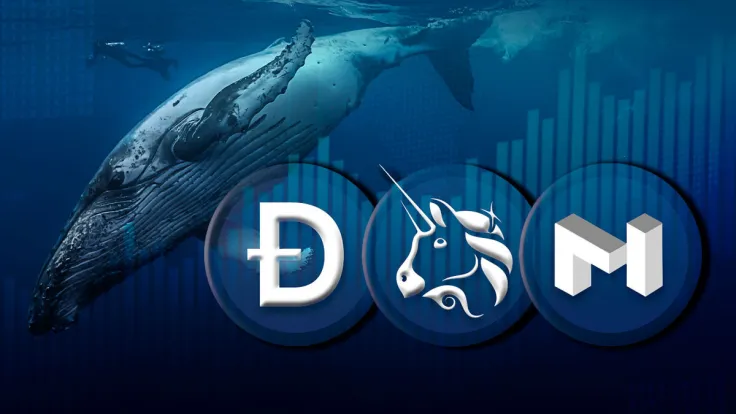 DOGE, MATIC and UNI on Solid Rise Fueled by Large Whale Transactions