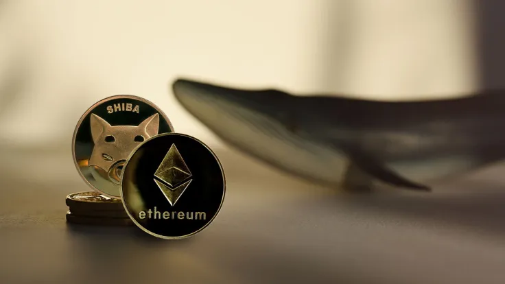SHIB Posts Modest Price Gains as Ethereum Whales Load up on 534 Billion SHIB