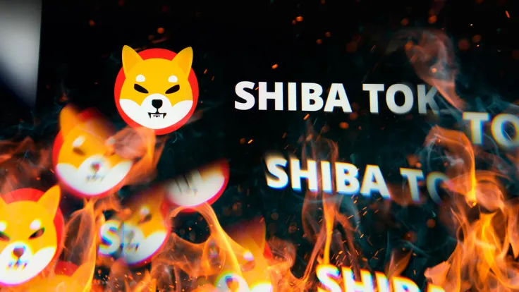 Shiba Inu Burn Rate Spikes 130%