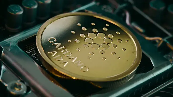 Cardano Community Gives One Reason for Its "Standalone" in Larger Crypto Space