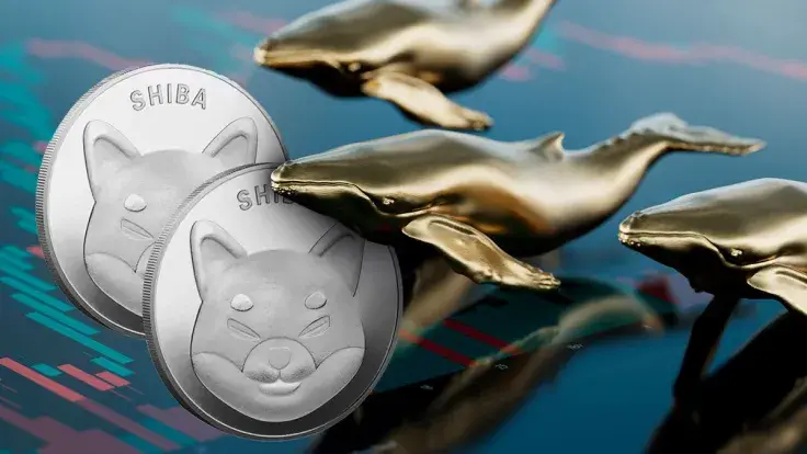 Here's What's Driving Whales to Buy More SHIB