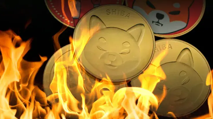 300 Million SHIB Burned by This New Burner, 276 Million SHIB Gone in 24 Hours