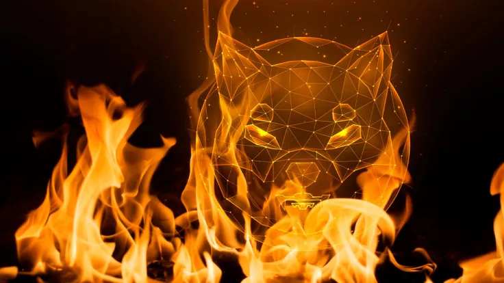 Shiba Inu Records Over 1.2 Billion SHIB Burned in 7 Days, 100% Spike From Last Week's Rate