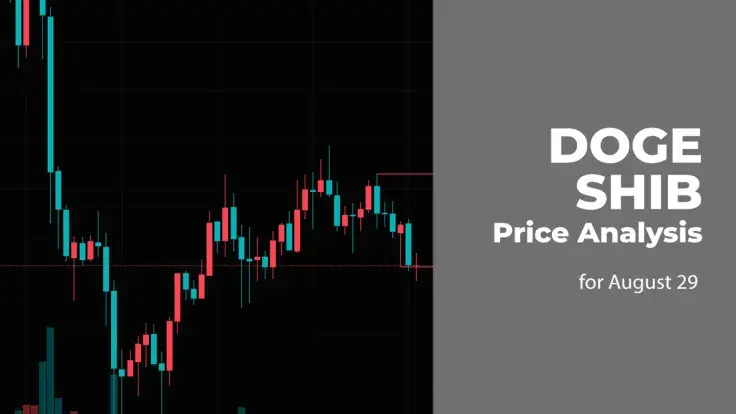 DOGE and SHIB Price Analysis for August 28