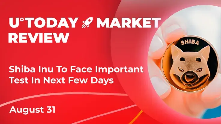 Shiba Inu to Face Important Test in Next Few Days: Crypto Market Review, August 3