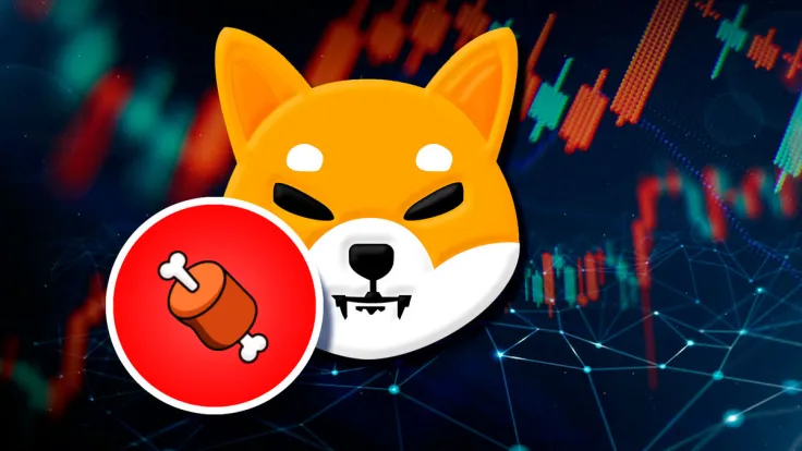 Shiba Inu Lead Developer Says BONE Has "Woken Up" as Price Jumps 25%