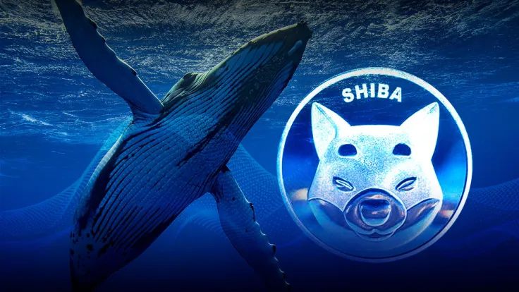 SHIB Remains Largest Asset in USD for Whales But Here’s Where ALCX Surpasses It