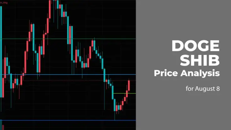DOGE and SHIB Price Analysis for August 8