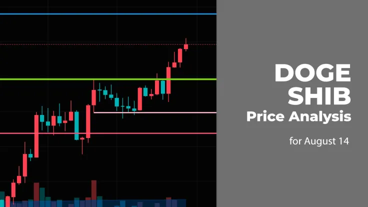 DOGE and SHIB Price Analysis for August 14
