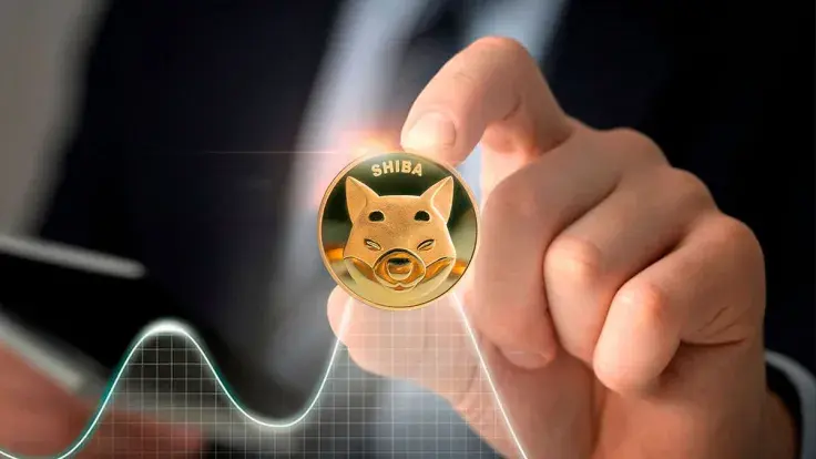 Shiba Inu (SHIB) 25% Rally Caused by This Group of Investors
