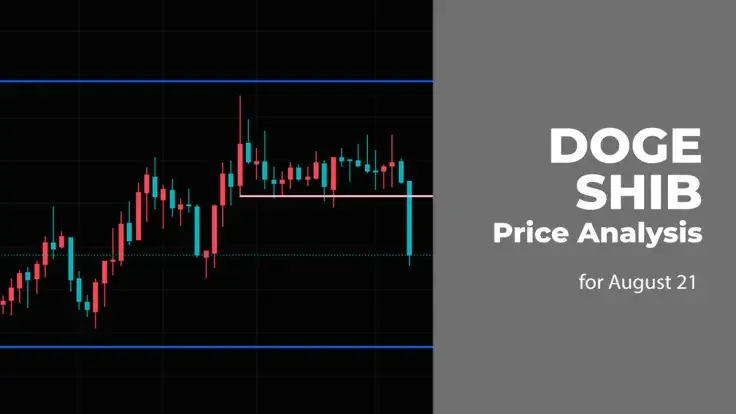 DOGE and SHIB Price Analysis for August 21