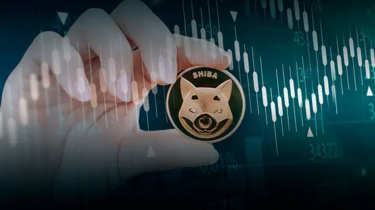 Shiba Inu Large Holders Might Be Timing Market as Transactions Suddenly Spike 84%