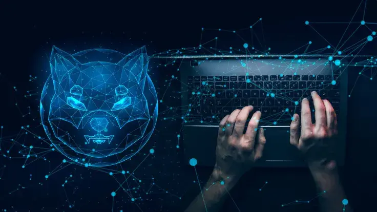 114.9 Billion SHIB Transferred by Mysterious Wallet, Here's What Happened