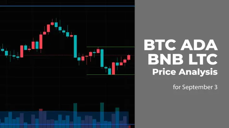 BTC, ADA, BNB and LTC Price Analysis for September 3
