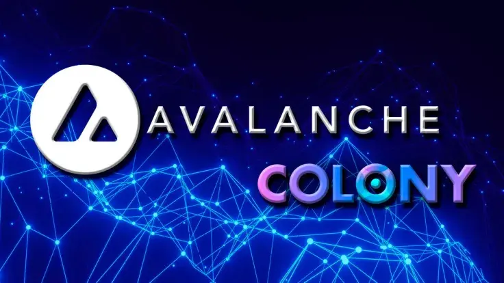 Avalanche to Onboard Crypto Index by Colony