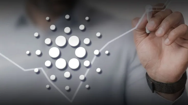 Cardano: Large Investors Continue Buying, Here's What Might Impact Price