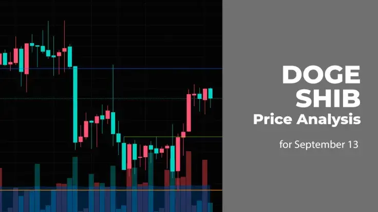 DOGE and SHIB Price Analysis for September 13