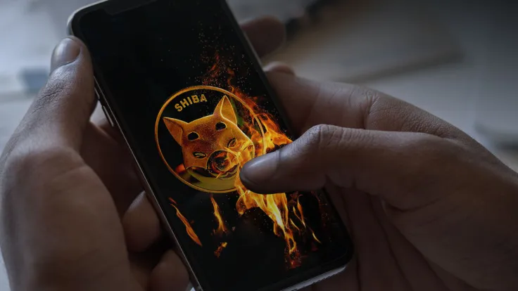 Billions of SHIB Could Be Burned with This New App: Details 