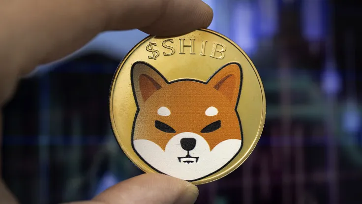 Shiba Inu (SHIB) Failed To Bounce, Here's What Comes Next